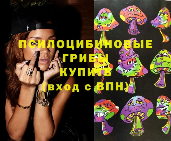 метадон Инсар