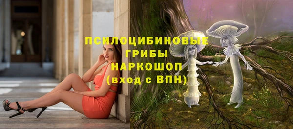 метадон Инсар